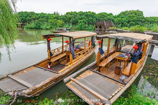 蘆蕩唱晚,夜宿沙家浜,枕著蟲鳴入睡 樂途旅游網(wǎng)