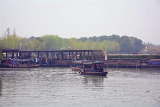 蘇州博越車友會常熟分會沙家浜踏青游 春風十里，車友情深